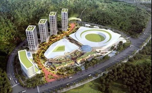 武漢躋身全球二線城市 運(yùn)動(dòng)項(xiàng)目經(jīng)營迎來新機(jī)遇